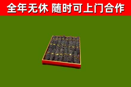 秀屿回收海参